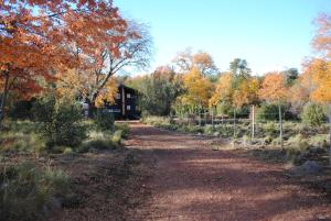 Billede fra billedgalleriet på Casa Negra Nevados de Chillan i Las Trancas
