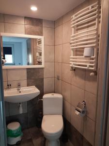 a bathroom with a toilet and a sink at Noclegi u Andrzeja in Gdańsk