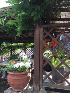 Zahrada ubytování Il Ghiro B&B
