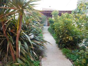 a path through a garden with a palm tree at Casa Cristina in Milis