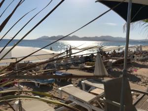 una playa con sillas y sombrillas y el océano en Plage du Midi en Cannes