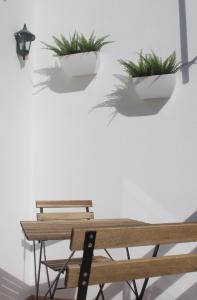 FamalicãoにあるCasa da Cilinhaの壁に植物を並べたテーブルと椅子