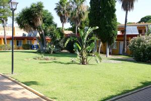 
a palm tree in the middle of a grassy area at Hotel Dunas Puerto in El Puerto de Santa María
