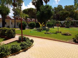 un parc avec des palmiers et une passerelle en briques dans l'établissement Hotel Dunas Puerto, à El Puerto de Santa María