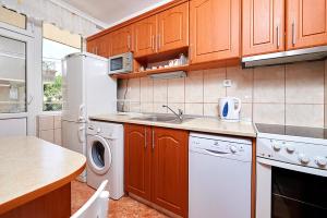 A kitchen or kitchenette at Apartment Damaskovi