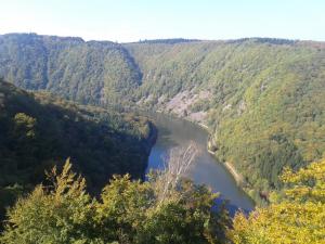 einem Luftblick auf einen Fluss in einem Wald in der Unterkunft Ferienwohnung Niklas in Völklingen