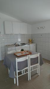 Kuchyň nebo kuchyňský kout v ubytování Apartman Kursar