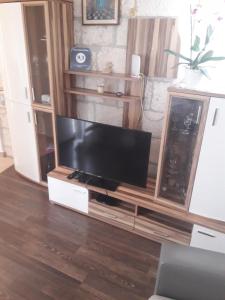 TV a/nebo společenská místnost v ubytování Apartments Šime