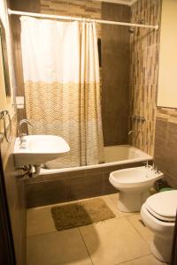 a bathroom with a sink and a toilet and a shower at Puerto Escondido in Santa Teresita