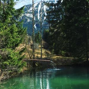 einen Fluss mit grünem Wasser, Bäumen und einem Berg in der Unterkunft Alte Postvilla in Oberammergau