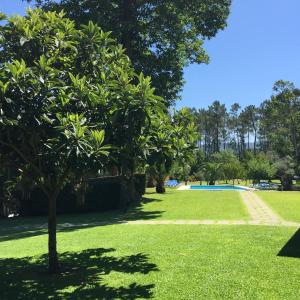a park with a tree and a swimming pool at ROSA Y GARDENIA - Solo Adultos in Ponte de Lima