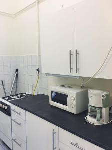 Kuchyňa alebo kuchynka v ubytovaní Adrienn apartment + 8 fotografií