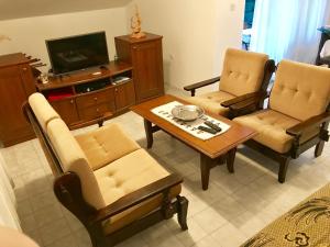TV a/nebo společenská místnost v ubytování Apartments Markelj