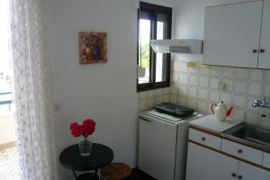 a kitchen with a table and a stove and a sink at Vivi Apartments in Iraklitsa