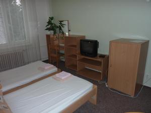 TV a/nebo společenská místnost v ubytování Hotelový Dům + 9 fotografií