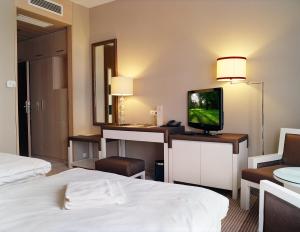 Habitación de hotel con cama y TV de pantalla plana. en Hotel Alhar, en Lubliniec