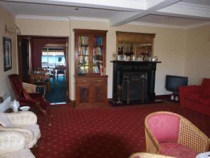 a living room with a couch and a fireplace at Shelmalier House in Athlone