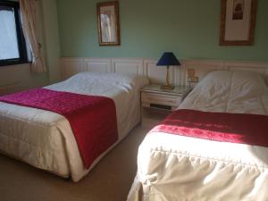 a bedroom with two beds and a table with a lamp at Shelmalier House in Athlone