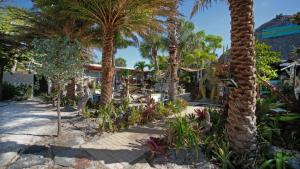 un complexe avec des palmiers sur la plage dans l'établissement BeachPoint Cottages, à Siesta Key