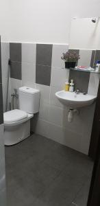 een badkamer met een toilet en een wastafel bij MY Homestay KLIA in Sepang