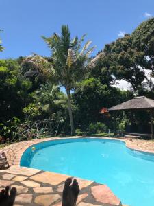 a person laying on the edge of a swimming pool at Matilona in Sainte-Rose