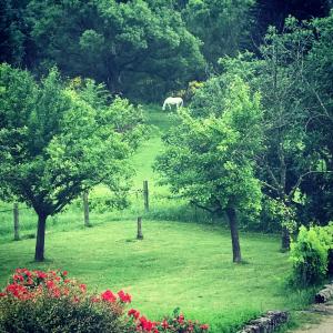 Zahrada ubytování Gites de La Croix du Gres