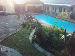 a swimming pool with a palm tree in front of a house at Accoustix Backpackers Hostel in Johannesburg