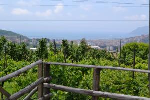 einen Holzzaun mit Stadtblick in der Unterkunft b&b Green Valley in Salerno