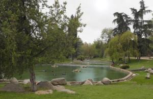 un estanque en un parque con un grupo de animales. en Apartamento Valmojado, en Madrid