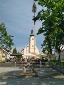 Fotografia z galérie ubytovania Haus Waldviertel am Herrensee v destinácii Litschau
