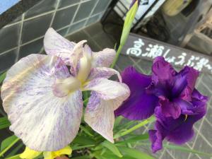 Afbeelding uit fotogalerij van Satsuki Bessou in Tamana