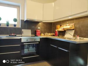 A kitchen or kitchenette at Belvárosi Apartmanszálló - Kiskunfélegyháza