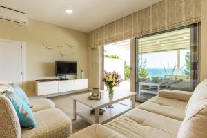 尼基季的住宿－A&A Luxury Beach Villas，带沙发和电视的客厅