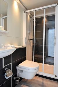 a bathroom with a toilet and a shower at Cosy floating boatlodge, "Paris" in Maastricht