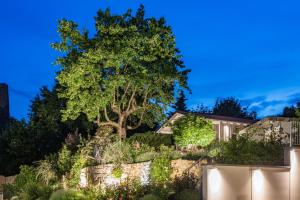 a garden at night with a tree in the background at City-Appartements Am Wall in Goslar