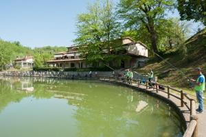 Φωτογραφία από το άλμπουμ του Laghi Della Tranquillita' σε Reggello