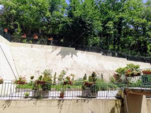 Zahrada ubytování Amalia Apartments