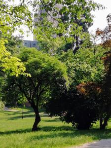 Příroda nedaleko apartmánu