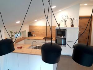 Kuchyň nebo kuchyňský kout v ubytování Apartments ALPA VITA