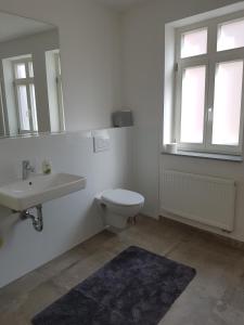 La salle de bains est pourvue de toilettes, d'un lavabo et d'un miroir. dans l'établissement Quartier "Zur Alten Apotheke", à Brackenheim