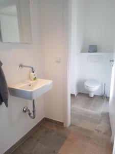a bathroom with a sink and a toilet at Quartier "Zur Alten Apotheke" in Brackenheim