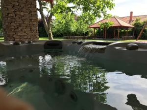 a pool of water with a fountain in a yard at Villa Holiday in Poroszló