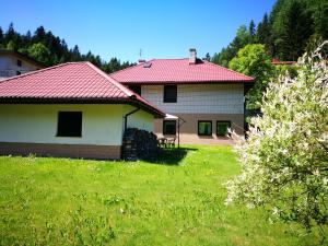 ein Haus mit rotem Dach auf einem grünen Feld in der Unterkunft Apartament u Michała in Krynica-Zdrój