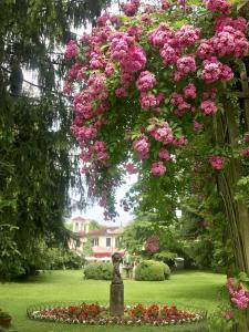 un montón de flores rosas colgando sobre un jardín en Hotel Villa Luppis, en Pasiano di Pordenone
