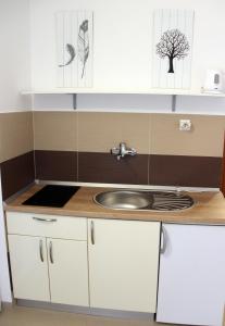Kuchyň nebo kuchyňský kout v ubytování Apartments Giardino