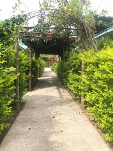 a garden path with a pergola with roses on it at Coral Apartments in La Digue