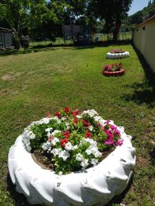 Zahrada ubytování Apartments Ana