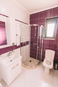 a bathroom with a shower and a toilet and a sink at Miami apartments in Ulcinj