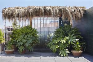 Fotografia z galérie ubytovania Casa Camper Barcelona v destinácii Barcelona