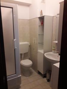 y baño con aseo y lavamanos. en Apartamento 300 metros do SANTUÁRIO DE FÁTIMA T4, en Fátima